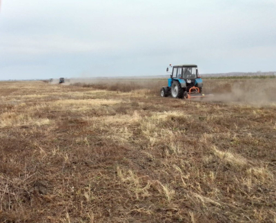 ���� ��������� ������� � ����������� ���������������� ���� �������� ������������