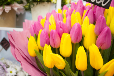 ������ �� ����� ����: ����� ����� �������� �������� �� 8 �����