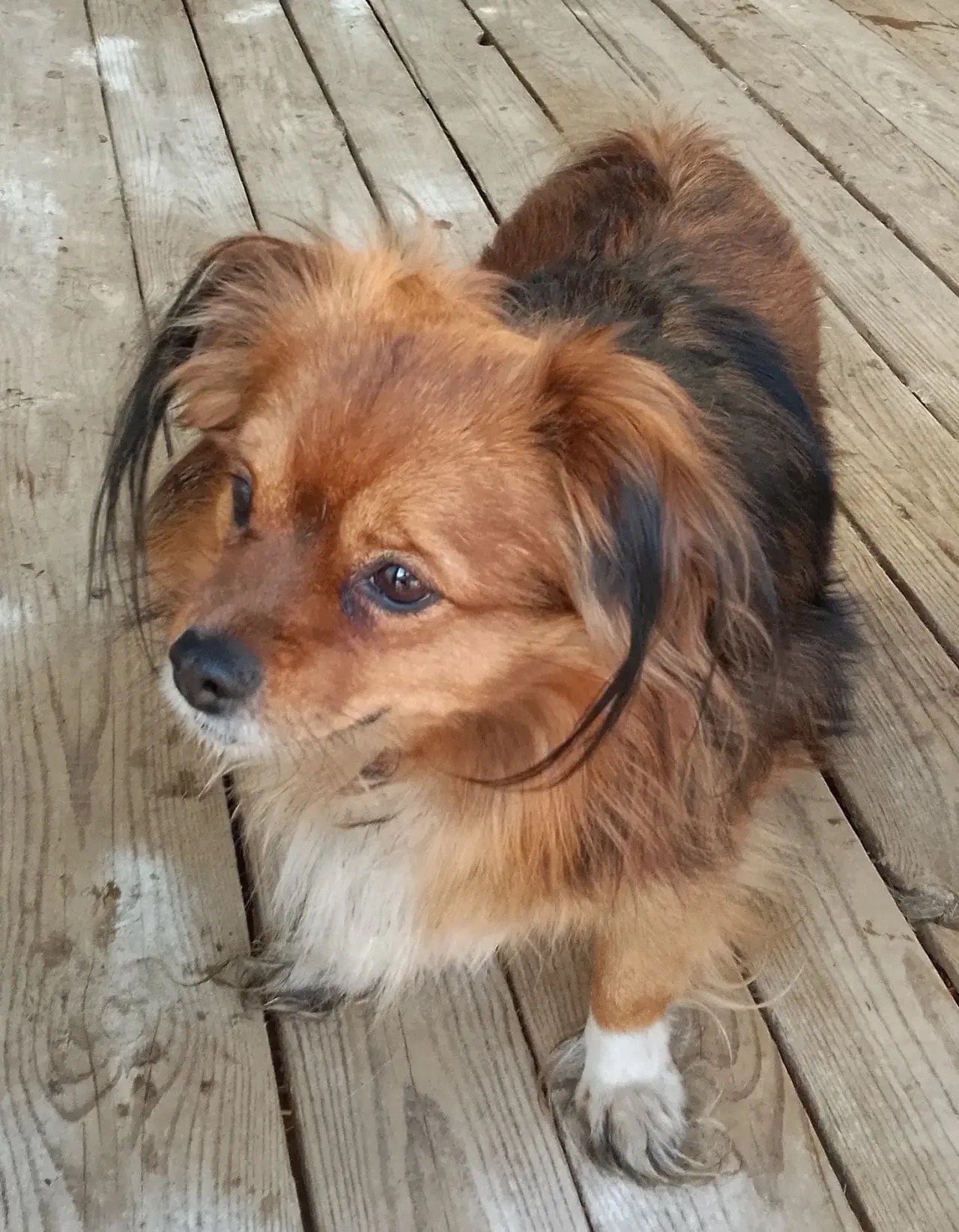 ������ �����