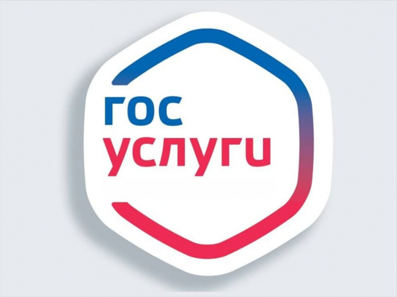 С помощью Портала Госуслуг можно получить ряд массовых социально значимых услуг