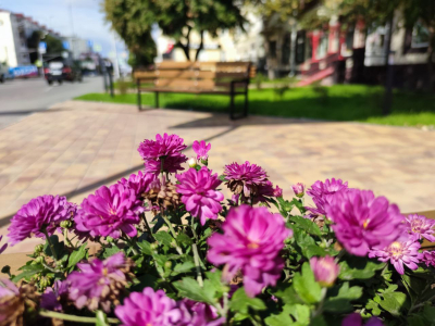 � ������ ������� ��������� ��� ���� ������ ���� ������ 