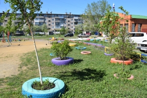 �������� �������� 2019