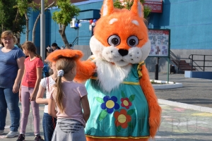 ���� ���� ����������� 2019