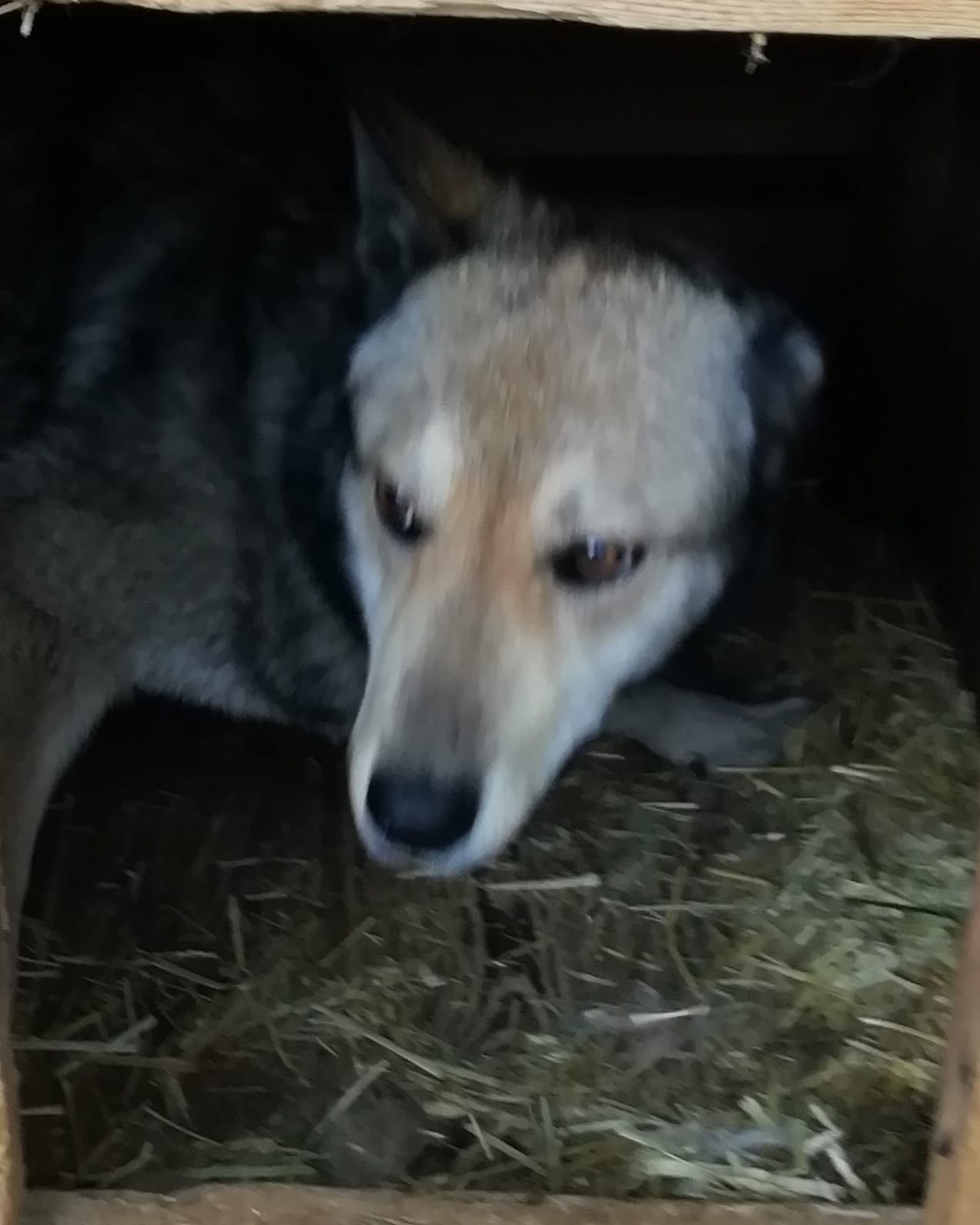 ������ ����� 