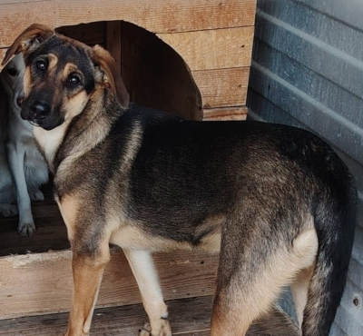 ������� ��������� �� ������ ����, �������� � �������, ������ ����� � ����� �����