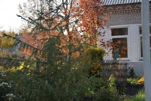 ������� �������� 2019