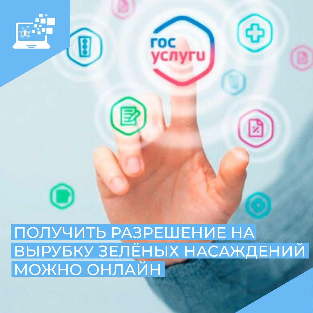Получить разрешение на вырубку зелёных насаждений можно онлайн