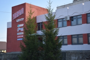 ������� �������� 2019