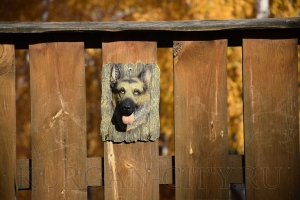 ������� �������� 2019