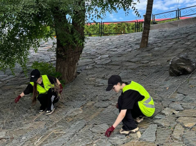 �������� ������ ���������� �������� ��������������� ������ ������