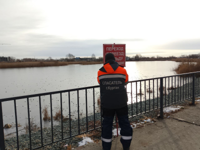 ���� ������� ��������