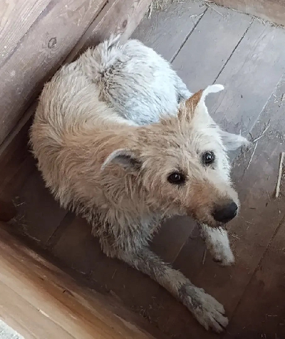 ������ �������