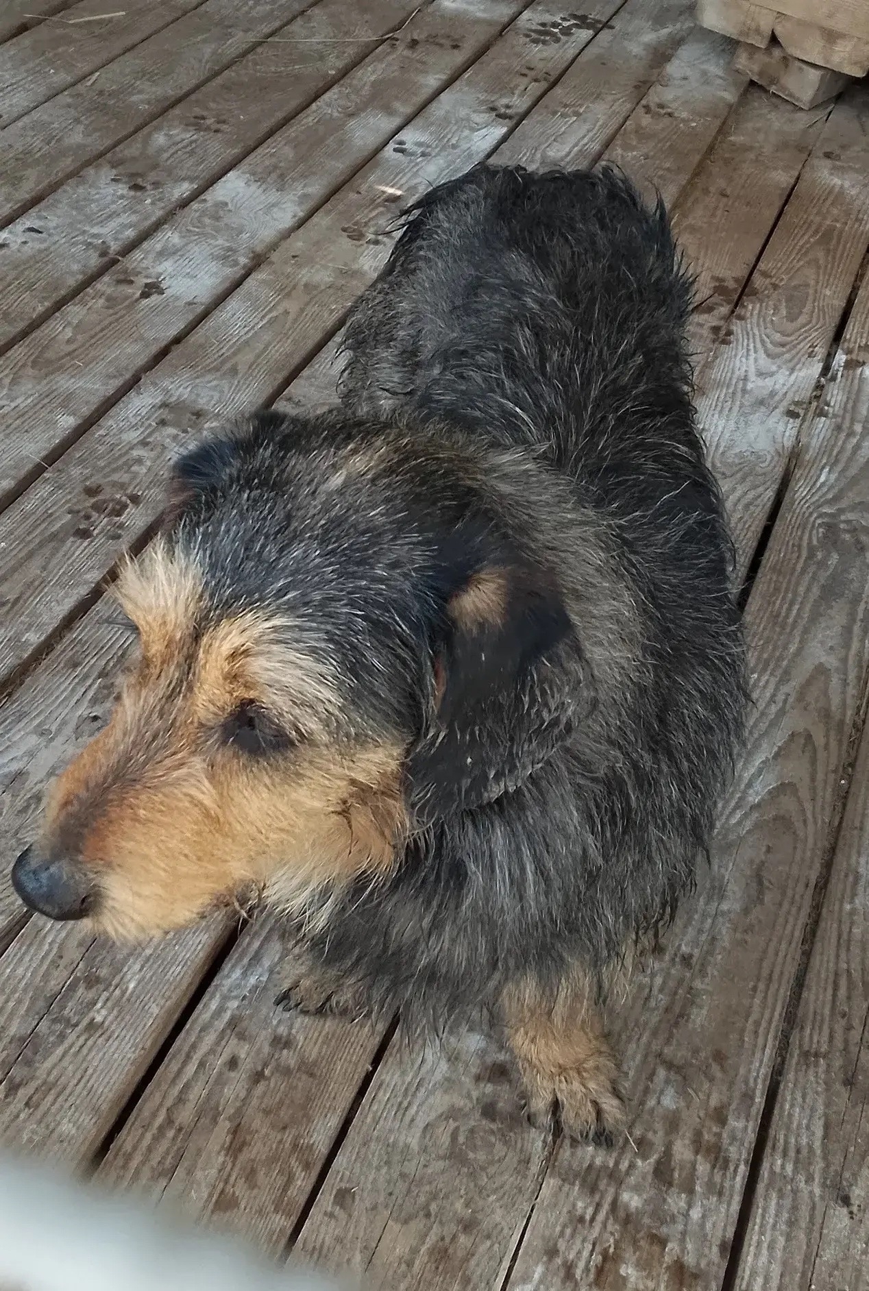 ������ �����