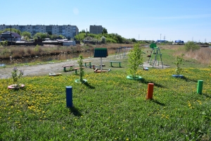 �������� �������� 2019