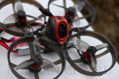 ������ �������, ������� ����� ���� ������������ � ������ ������ ����� ����