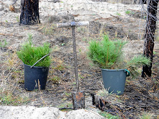 ����� ��������: ����������� �� ������� ���� ������ ����� ���������