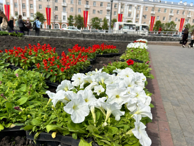 ������������ ������������ ������� ����������� ������� ����� �����